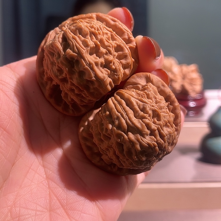 核桃白狮子全品无休