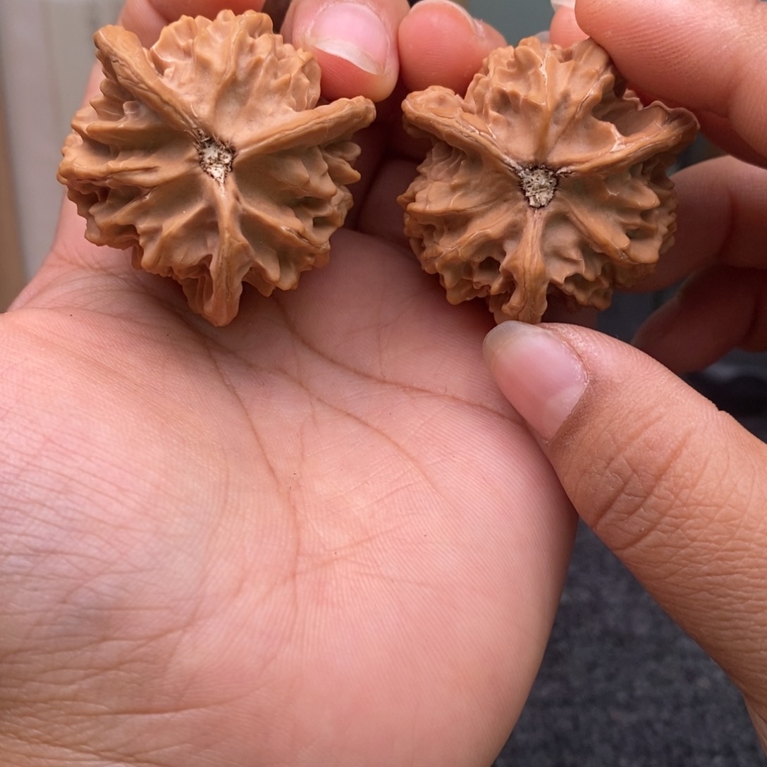 文玩核桃把件@****?111111111111111