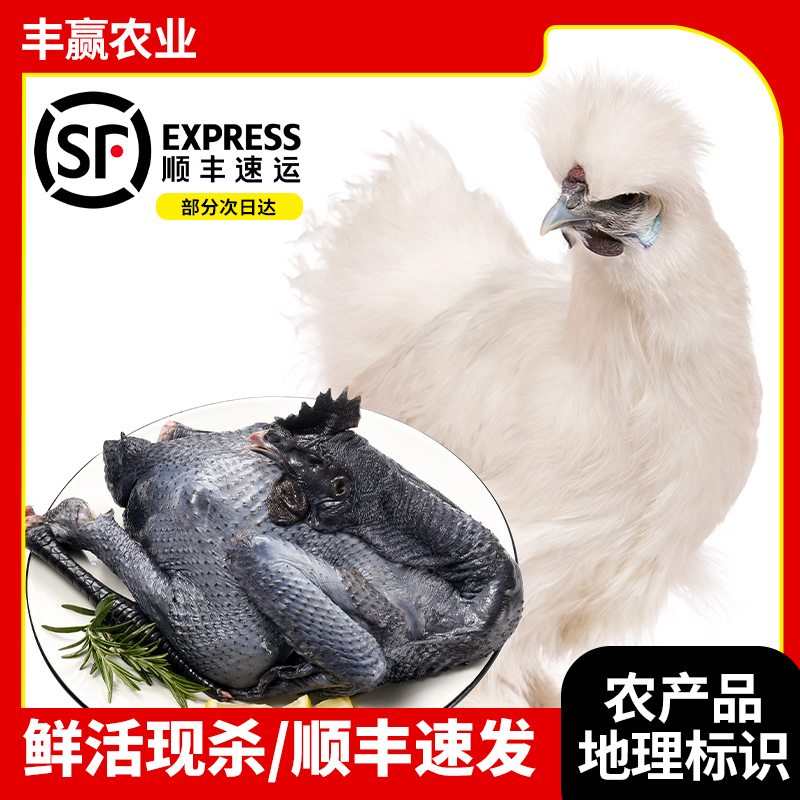 原种泰和武山乌鸡林下散养乌骨鸡土鸡现杀现发顺丰保鲜400天乌鸡