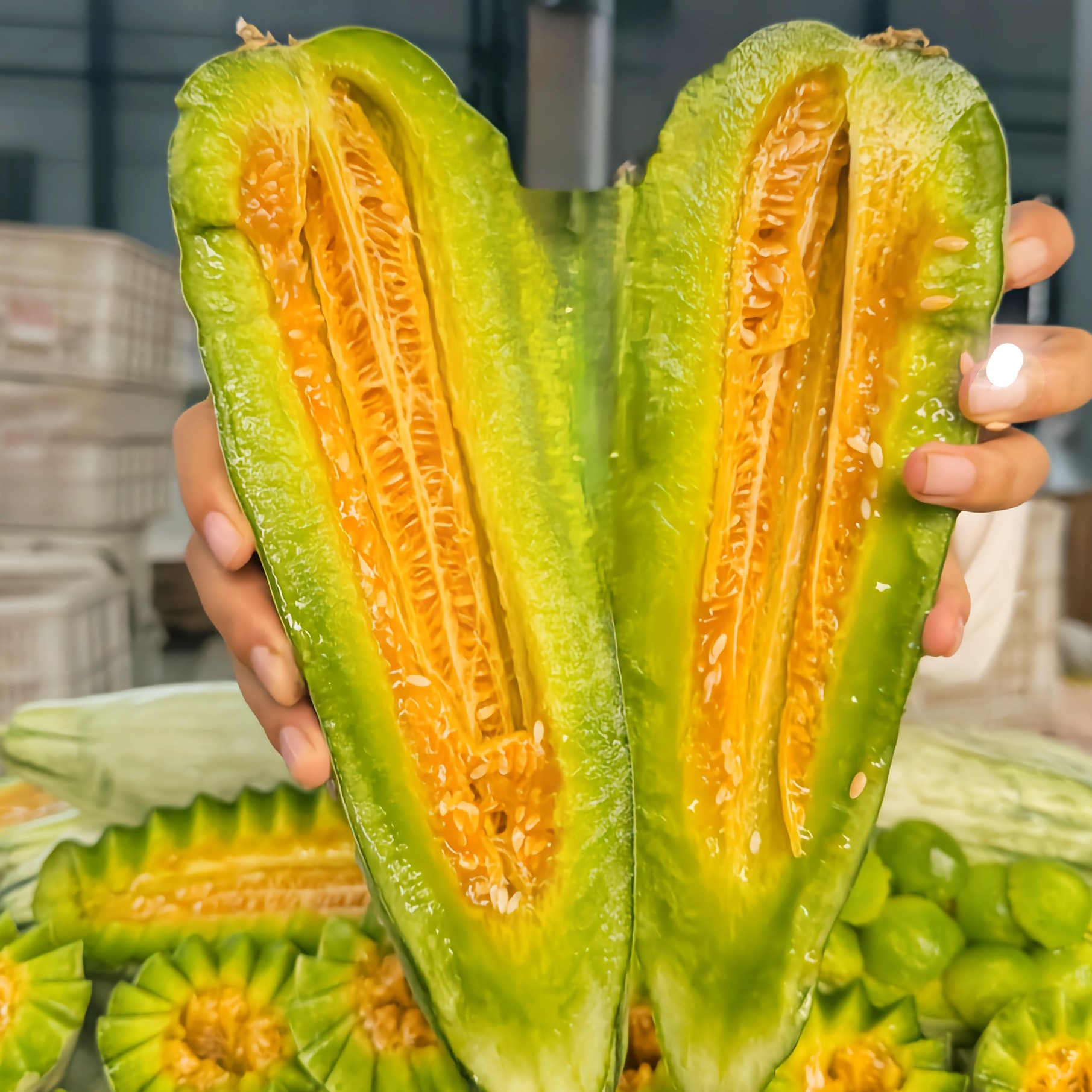 【脆甜多汁】山东头茬正宗羊角蜜甜瓜博洋密瓜新鲜采摘  3/5斤