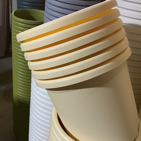 树脂四季4号6个无托米黄