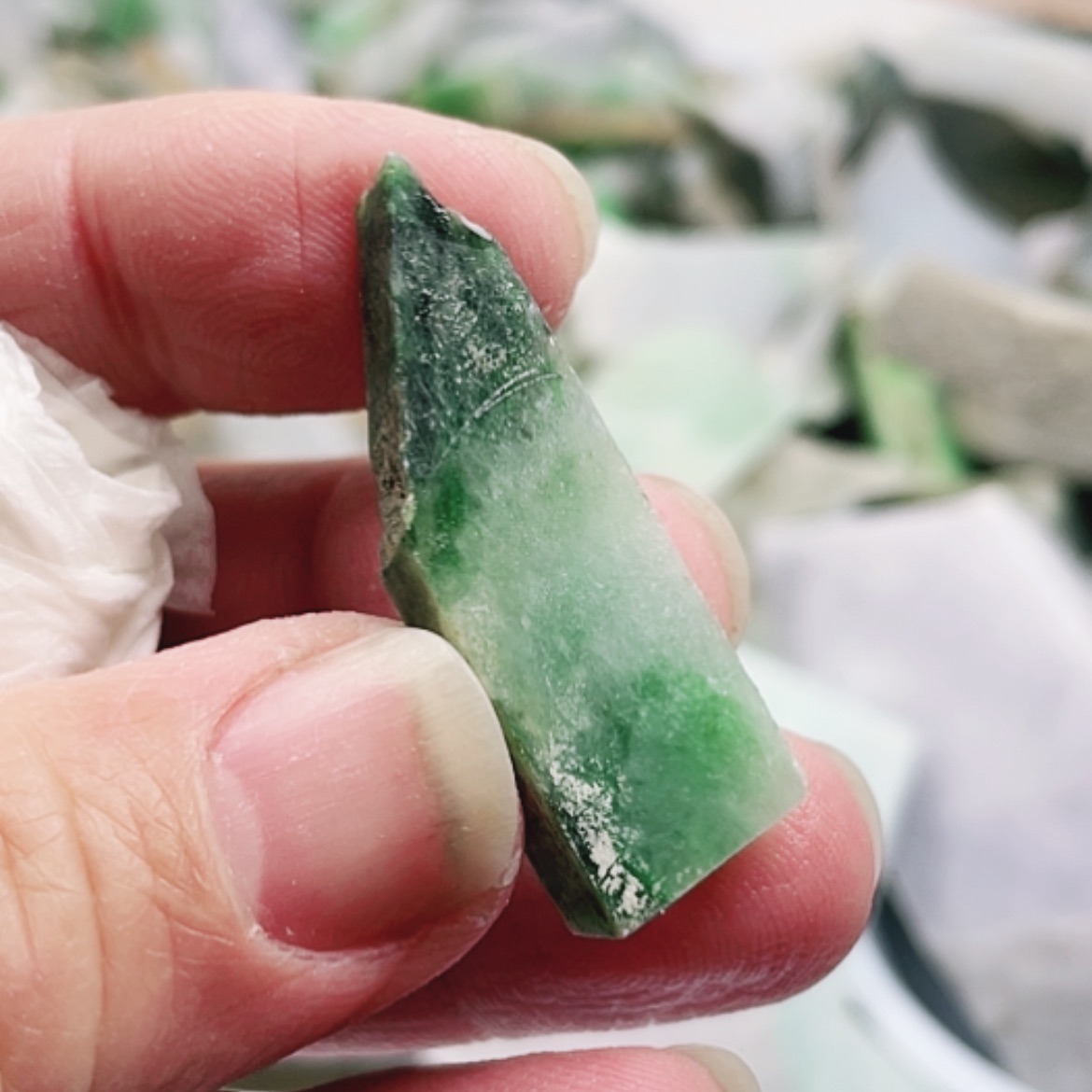 【闪购商品】翡翠颈饰未镶嵌A货