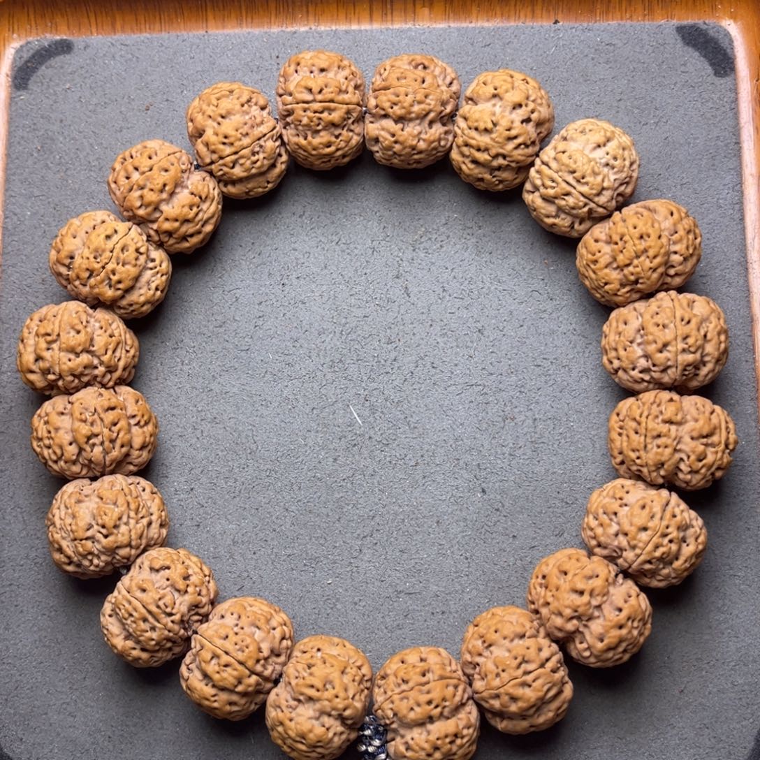 菩提29号金刚菩提满肉梅花手持23