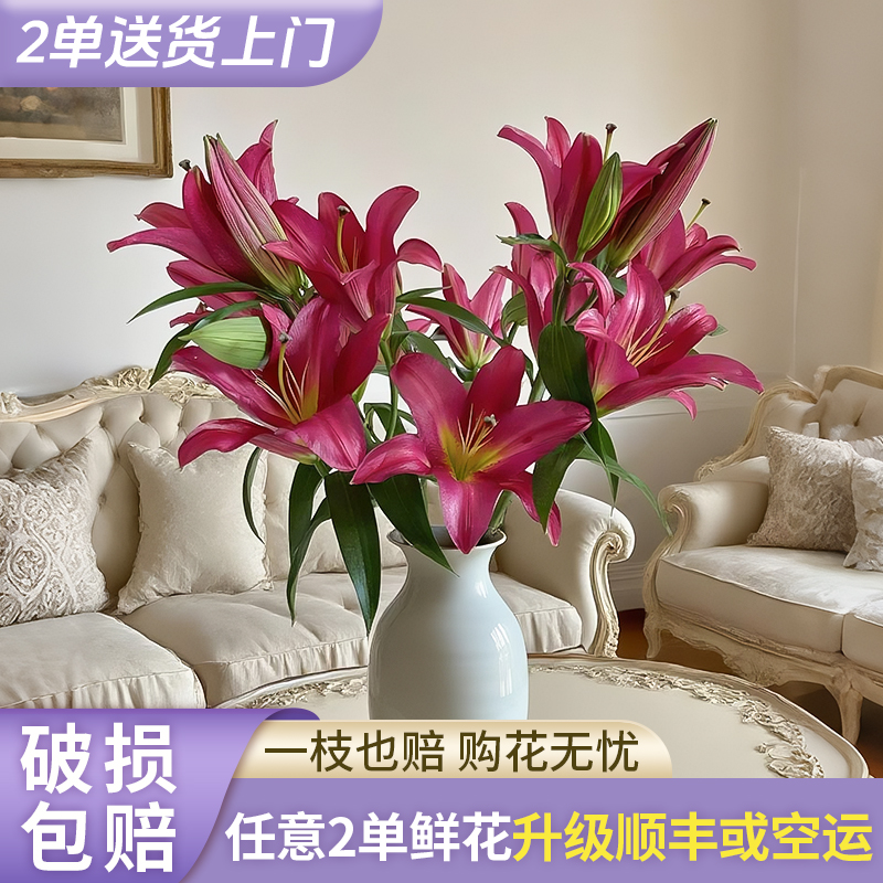 【源头优选】火石香水百合花水养插花用云南直发鲜花