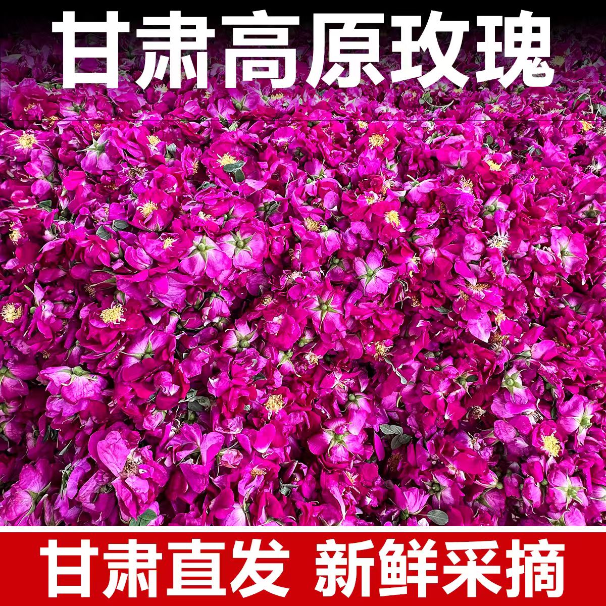 甘肃高原干玫瑰花无硫熏玫瑰花冠花蕾泡水煮茶伴侣玫瑰