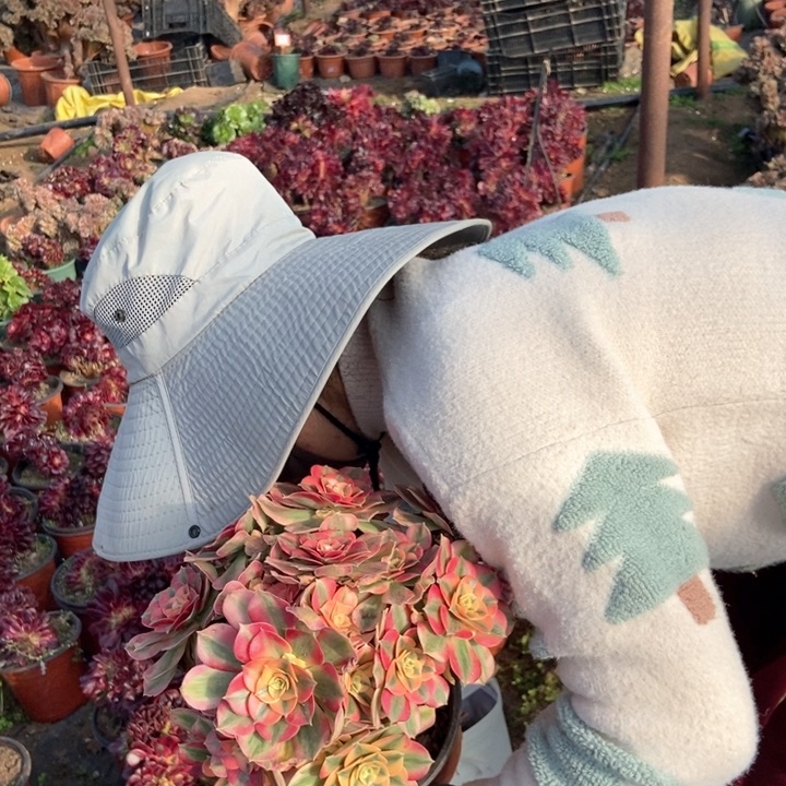 只****赵479女巫老桩老桩