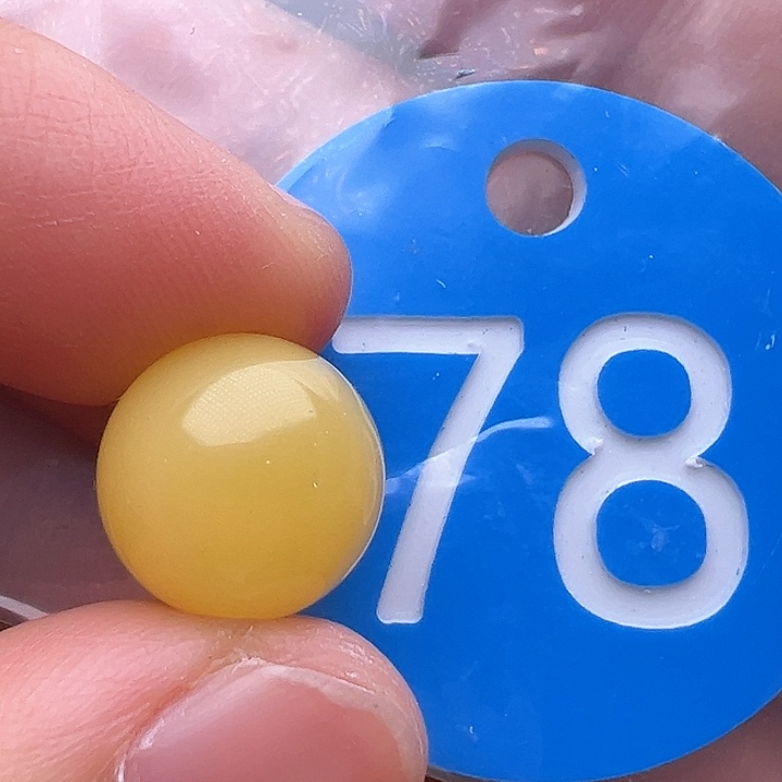 蜜蜡裸石未镶嵌金沙12m m