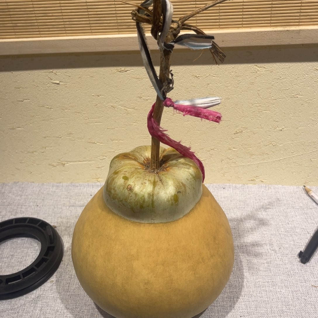 勒***夫仿木不包邮不保龙头