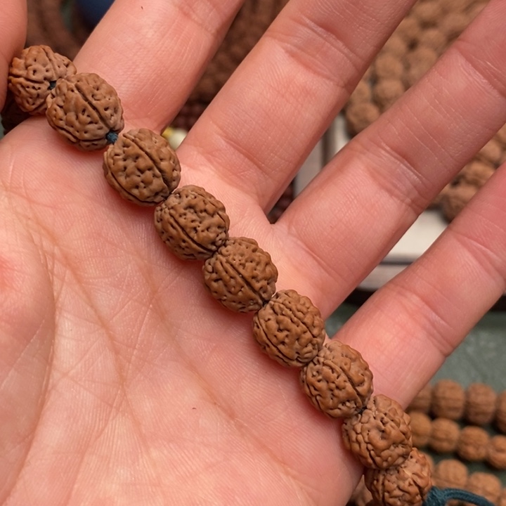 菩提半**戒盘龙王