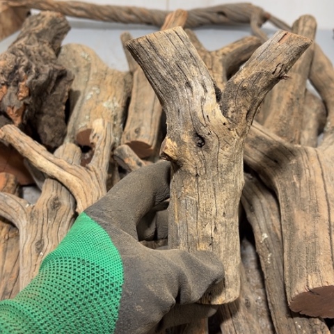 大果紫檀（缅甸花梨）一****龙