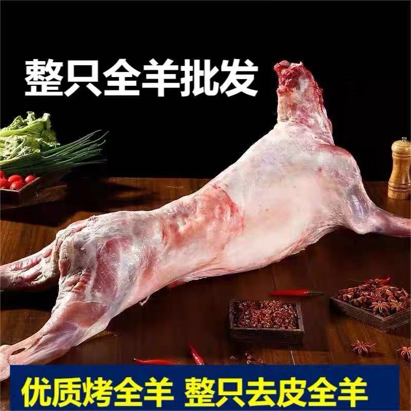 【跑滩羊】鲜羊整只羊现宰纯羊肉一整只