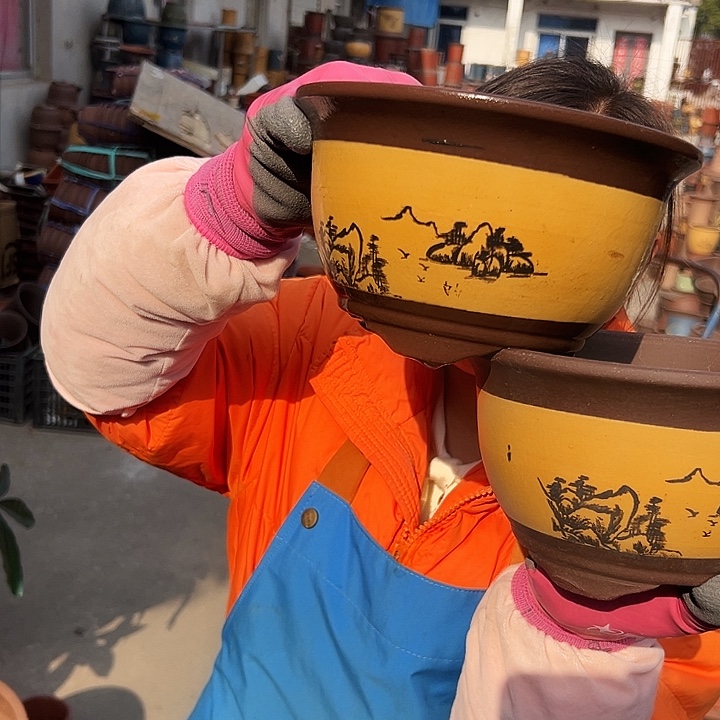 17+17黄三角金钟花盆花盆花盆