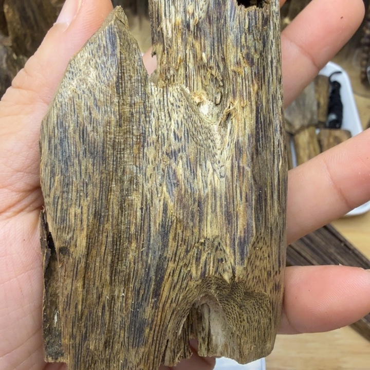 海南白奇乌身虫漏38克