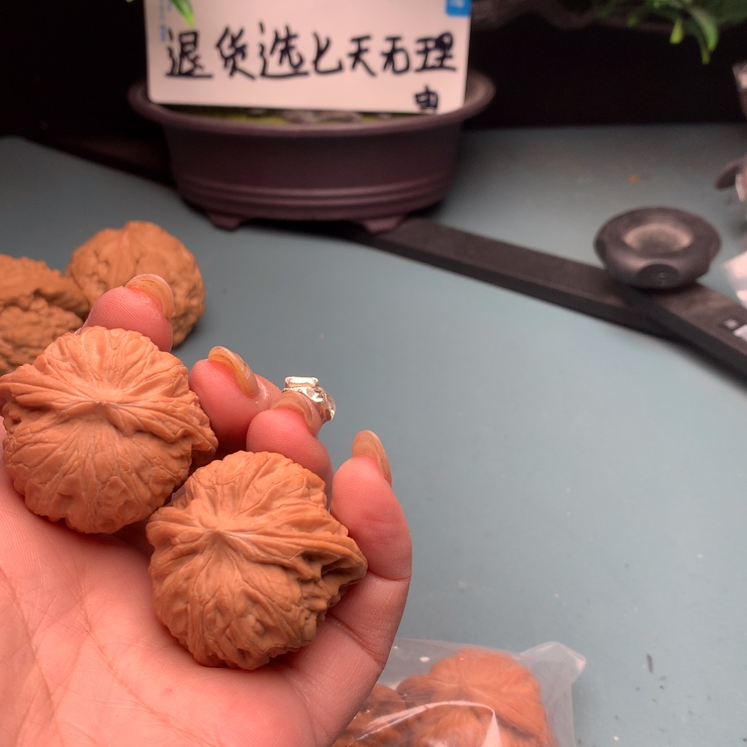 文玩核桃把件战鼓4041