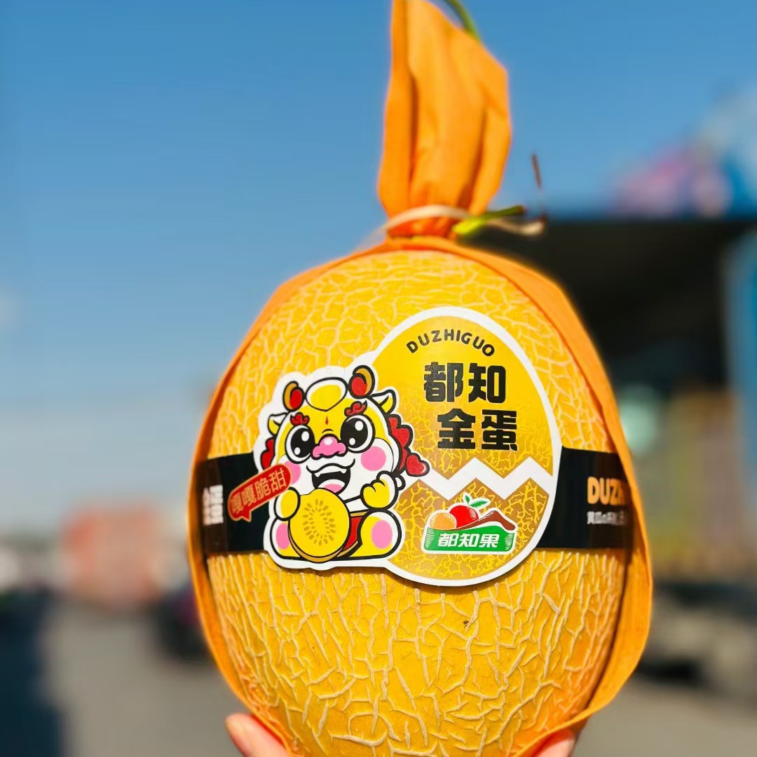 【果真不错】恐龙蛋蜜瓜哈密瓜 脆甜多汁爽口，甜而不腻1个约3斤