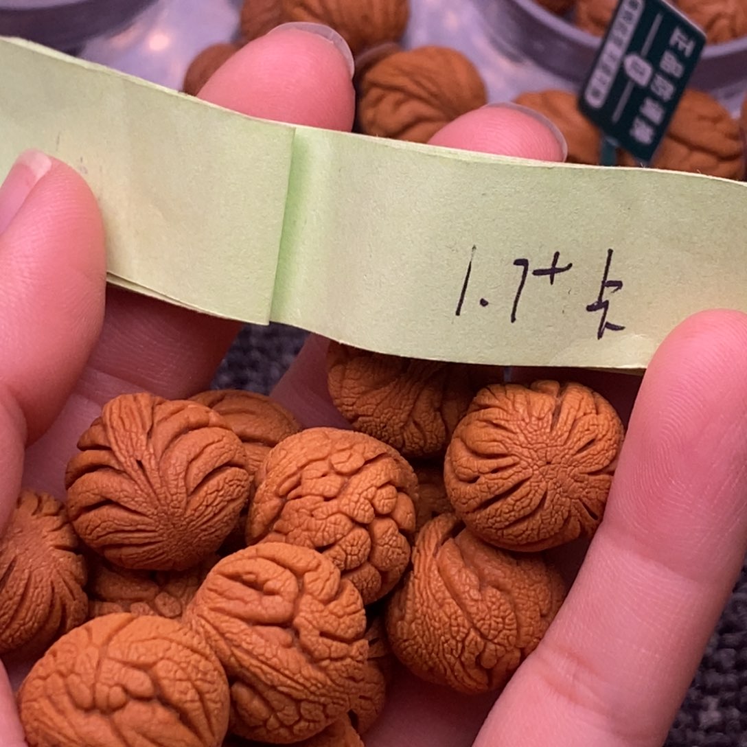 秦岭山脉龙纹桃核 15