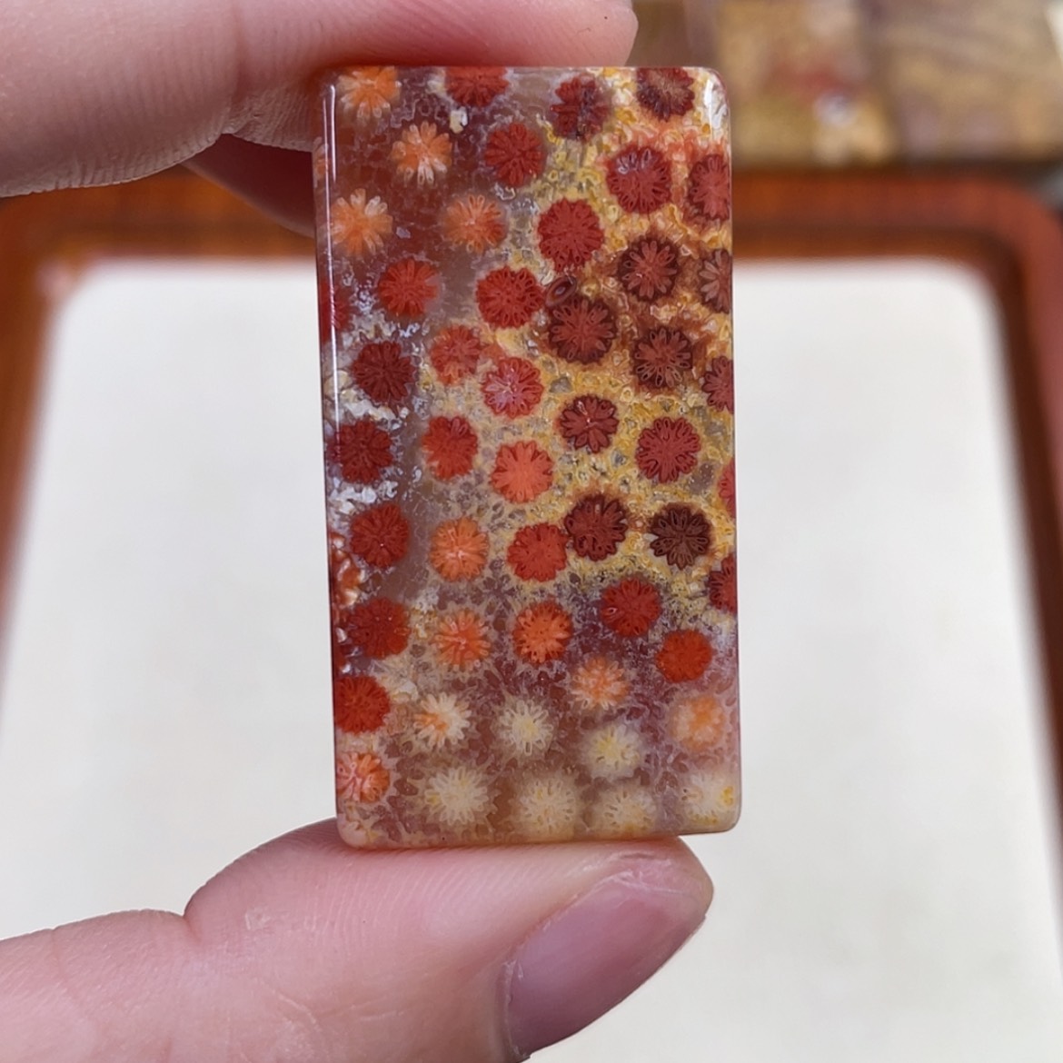 【闪购商品】硅化玉手串未镶嵌