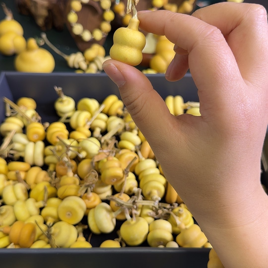 五***斓大叶紫檀（黑酸枝木类）