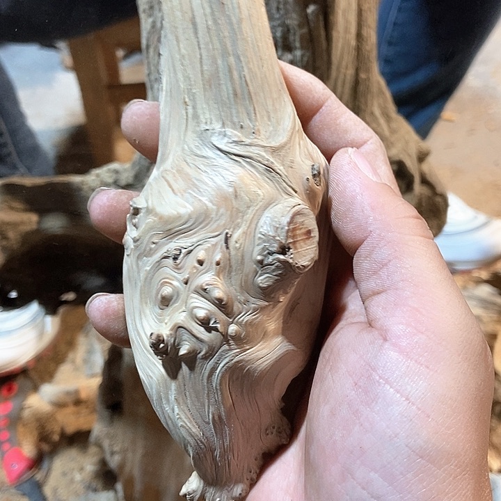 柏木s**l太行山区柏木木木