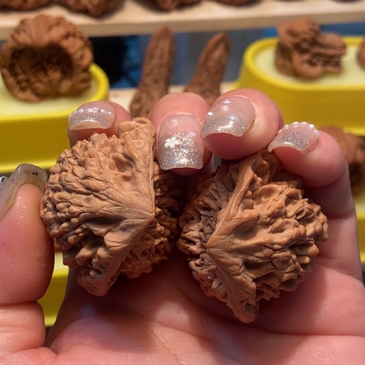 官方网站发布消息显示