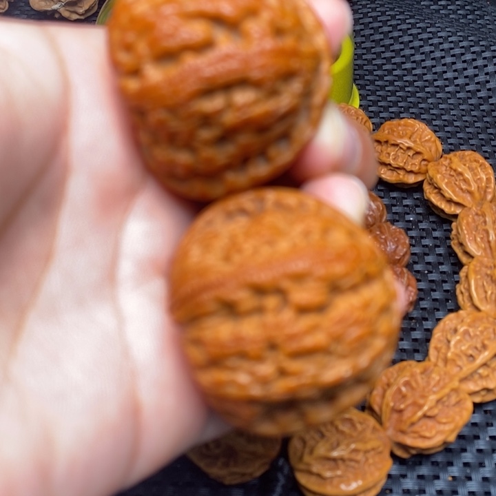 秦岭野生111111111