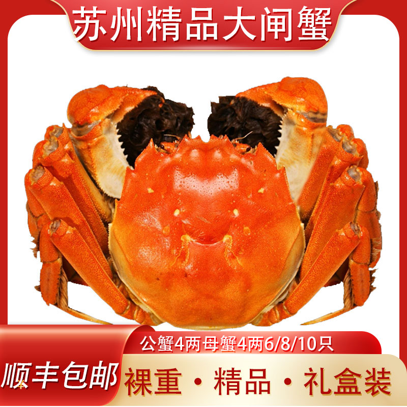【活蟹】公蟹4.0两+母蟹4.0两苏州精挑大闸蟹湖蟹6/8/10只可选