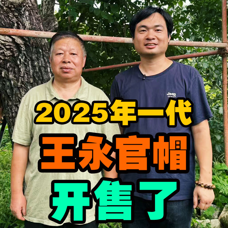 随机核桃一对