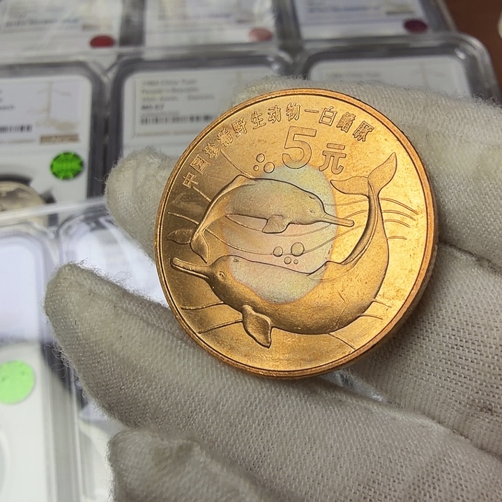 其他普通金属豚纪念币一枚