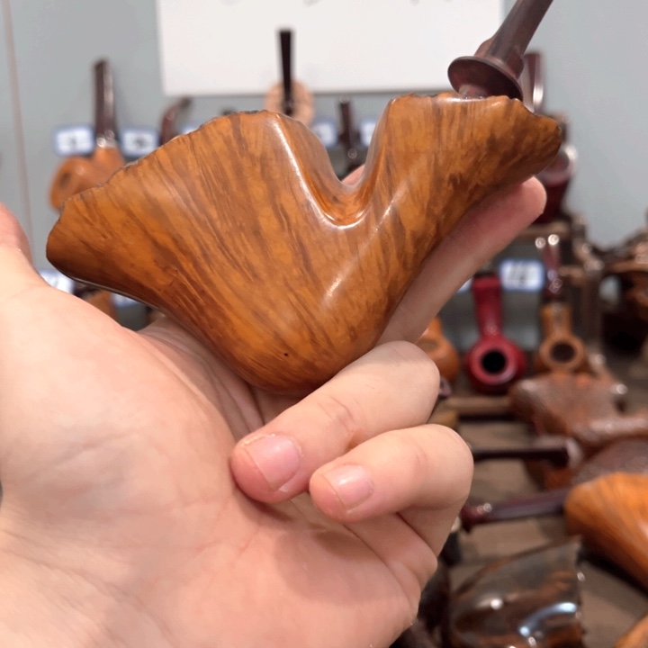 石楠木哈哈哈哈哈哈哈哈哈哈哈哈