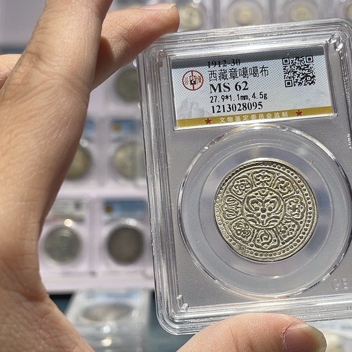 星***！银如图所说的那样是一个人