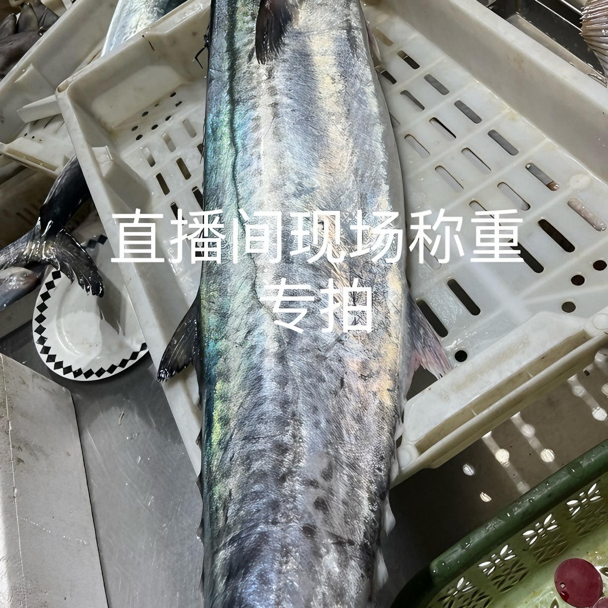 (孙娟海鲜） 晒干专拍链接 直播间称重重量为准（晒干15天内发货！！）