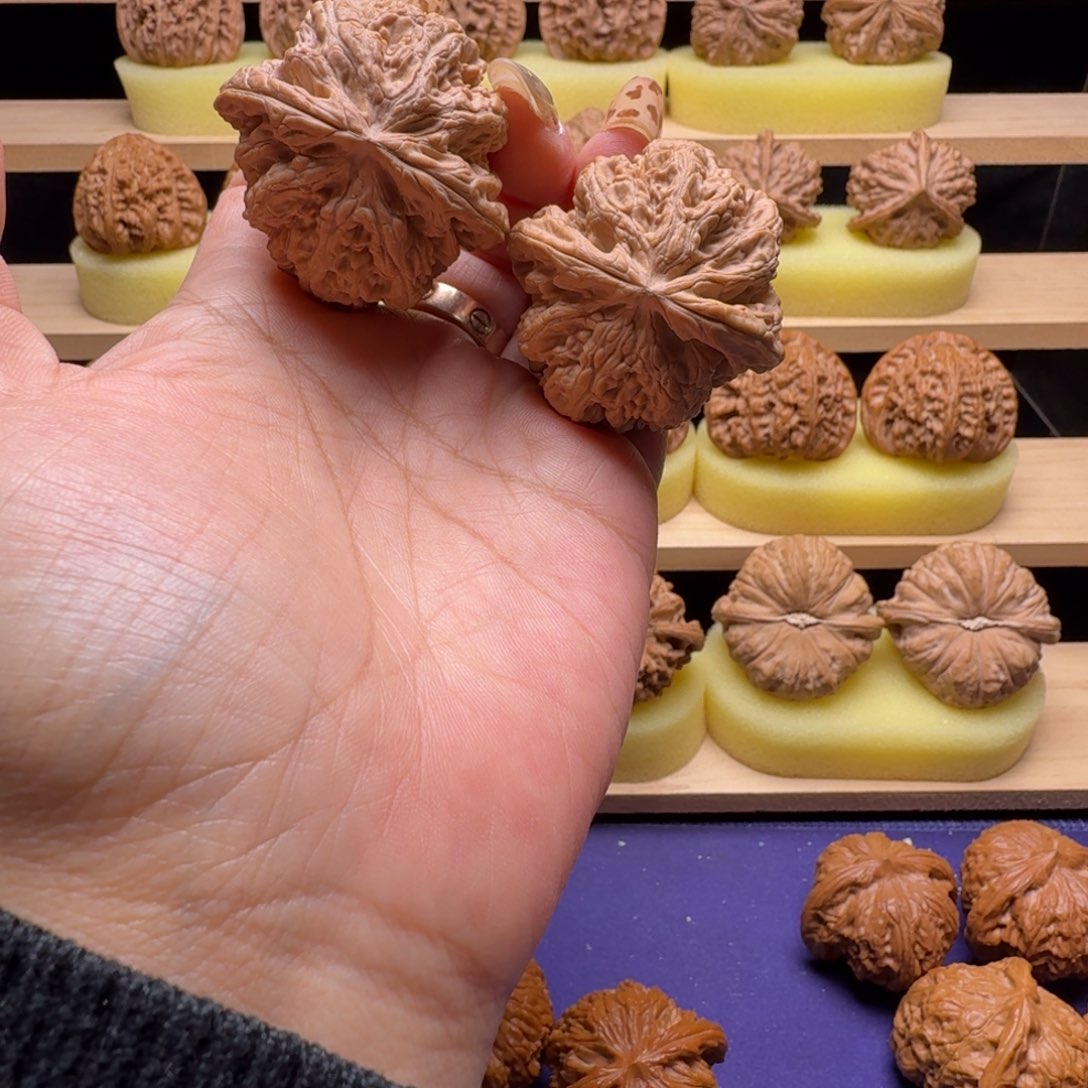 吊坠文玩核桃43尺粗筋