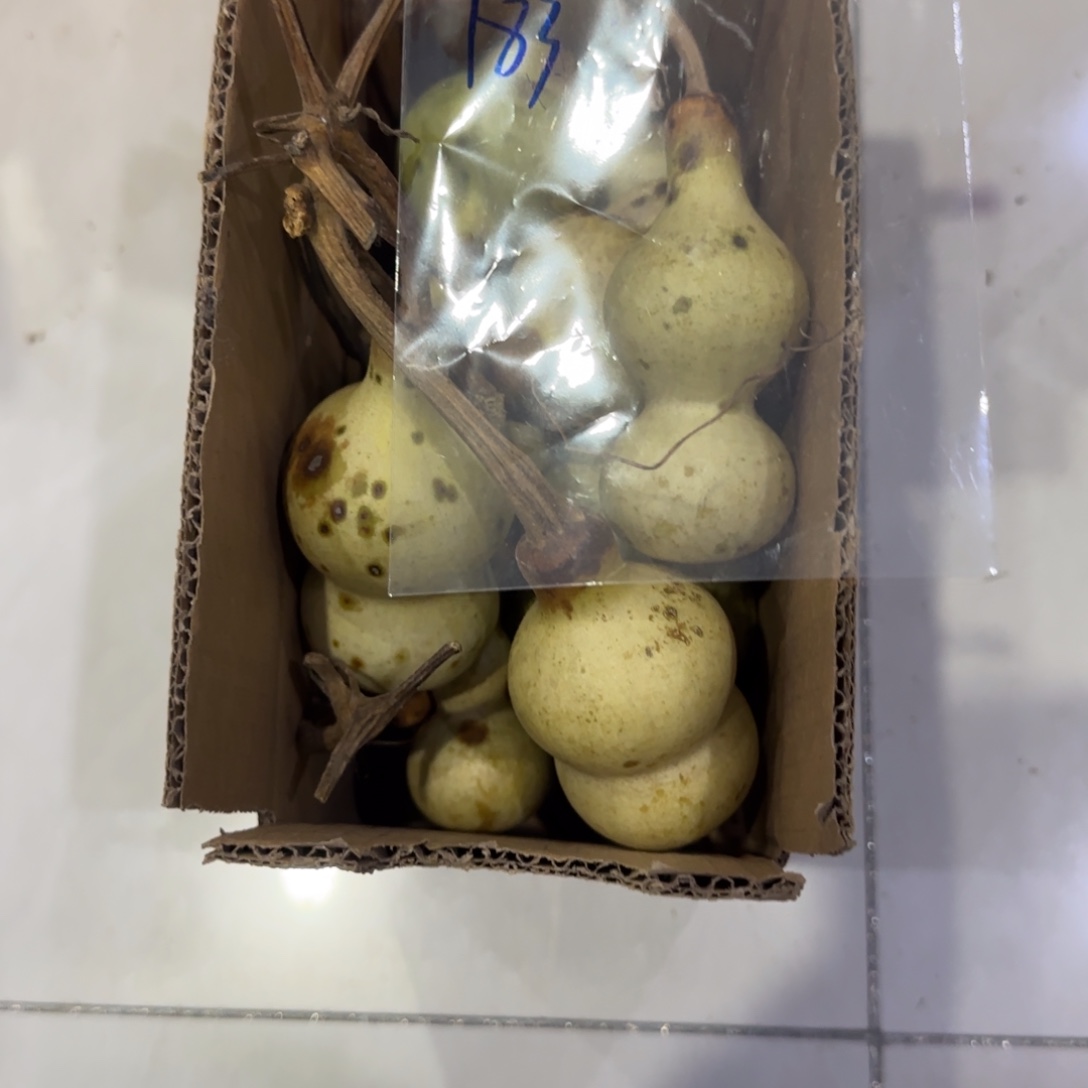 大***瓜葫芦乐乐粒磨损率咯OK乐乐