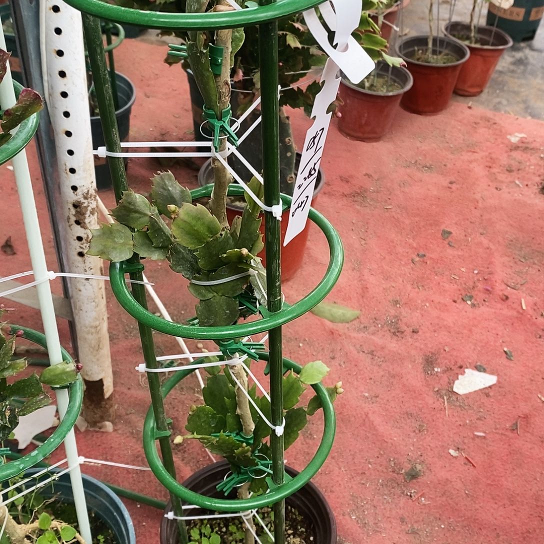用***5完全开放福利款Sam层