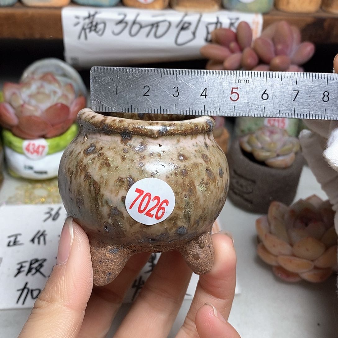 红陶拍5送一个小