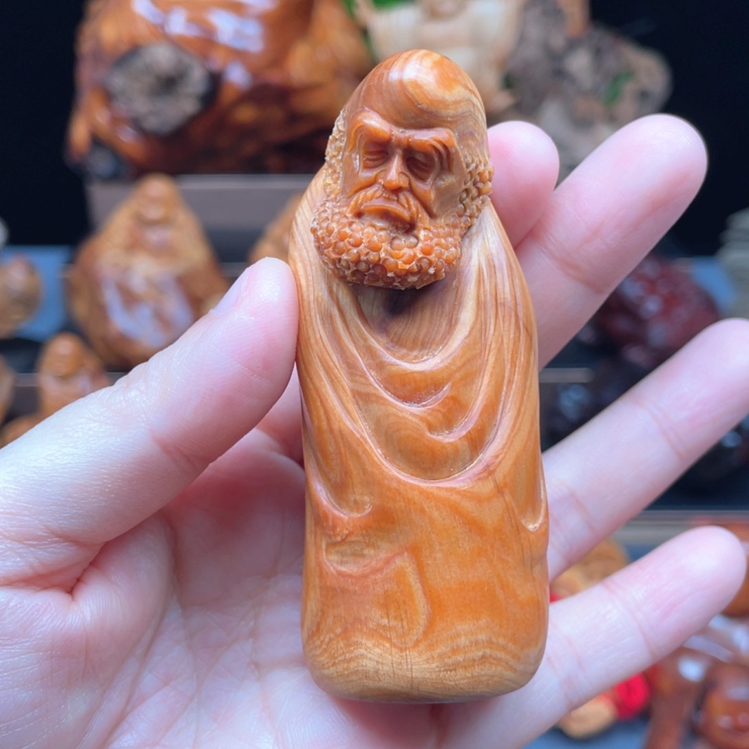 柏木（崖柏）太行崖柏