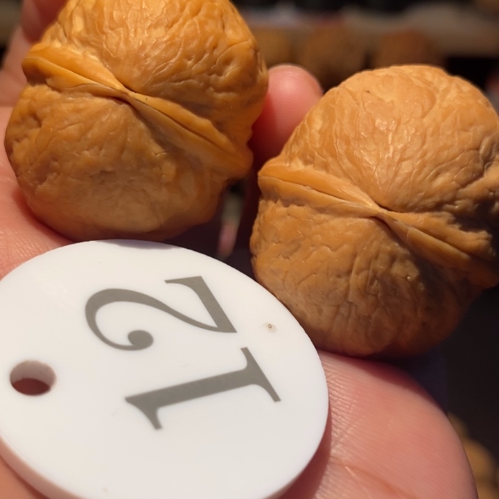 木质类水蜜桃36尺寸