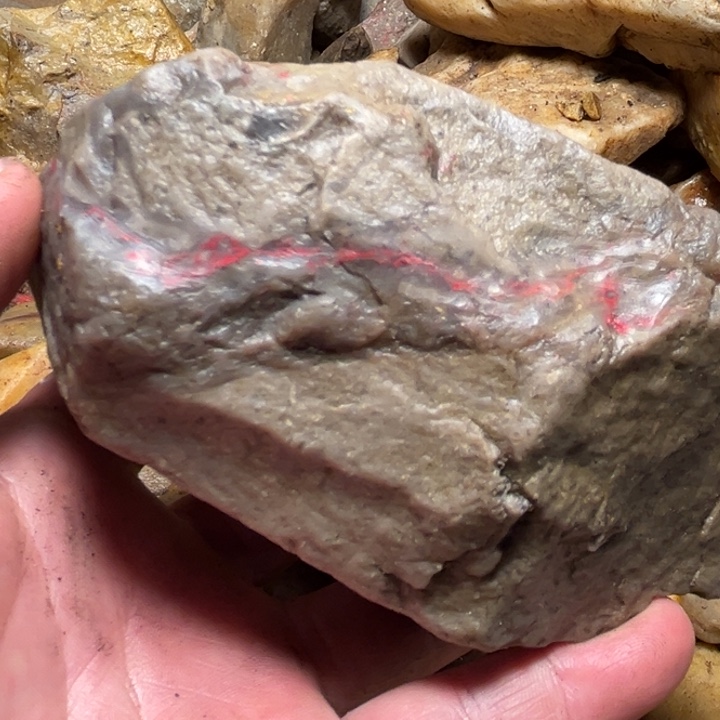 田黄石608克昌化鸡血石