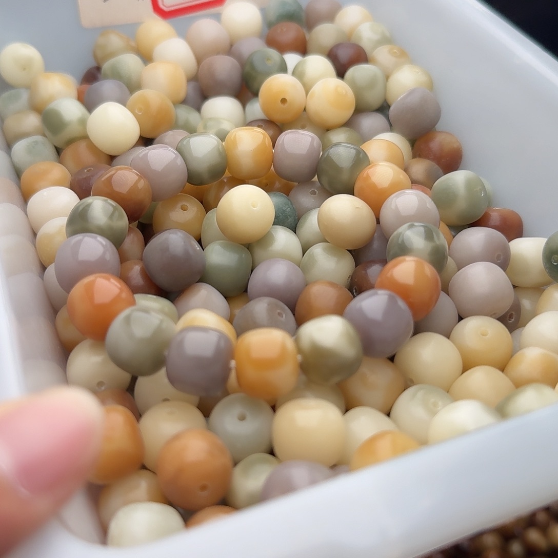 吊坠菩提根/象牙果50颗初夏花皮13桶