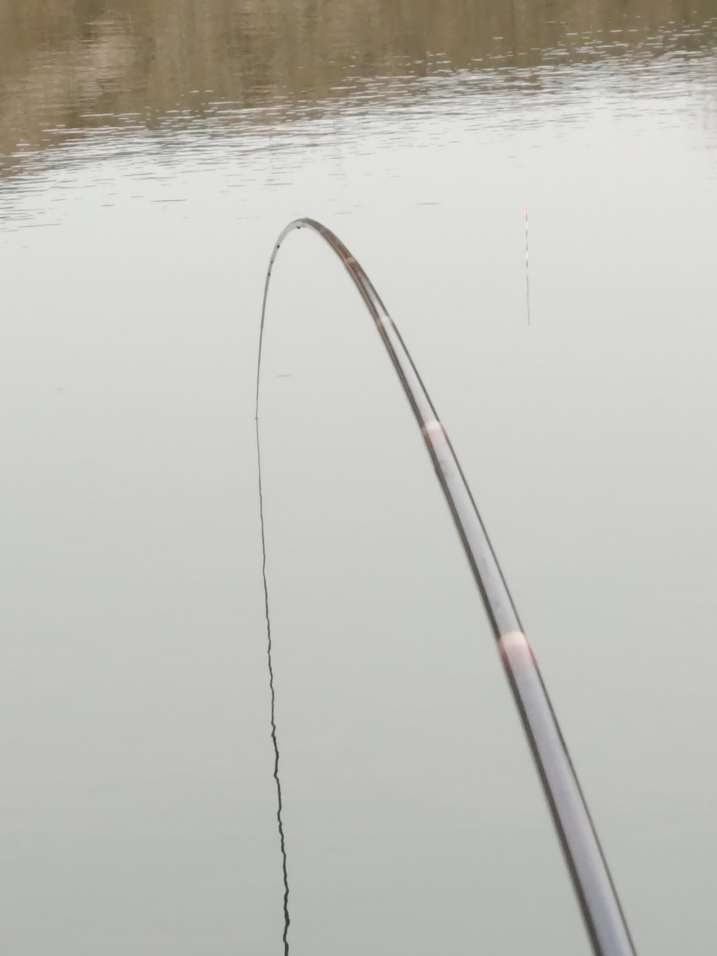 主播同款55调 超轻超硬综合杆