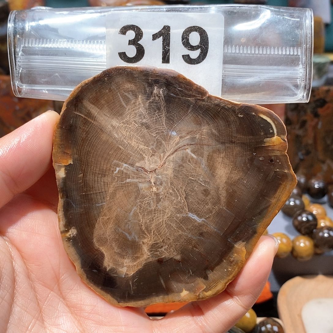 硅化玉天然北票硅化玉原石未镶嵌天然北票硅化玉原石