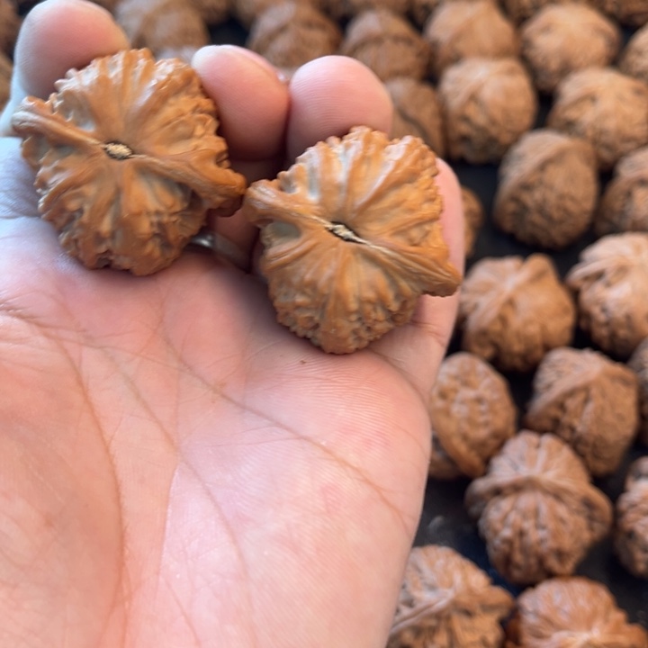 光***阴吊坠文玩核桃白狮子