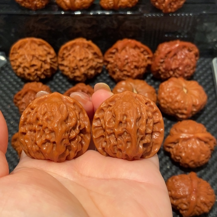 文玩核桃把件37尺寸白狮子1952