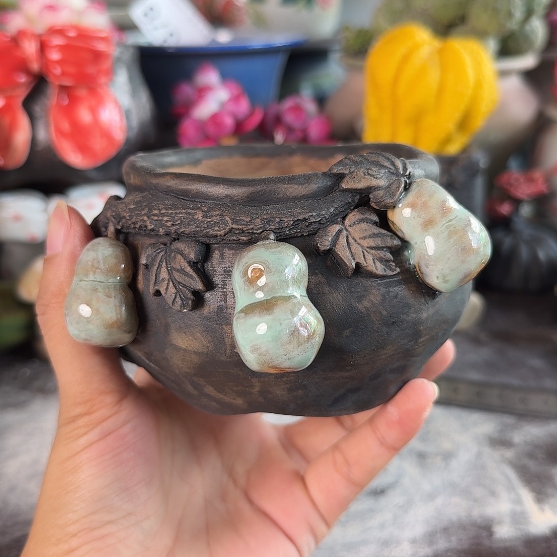 重庆小燕子欢迎大家