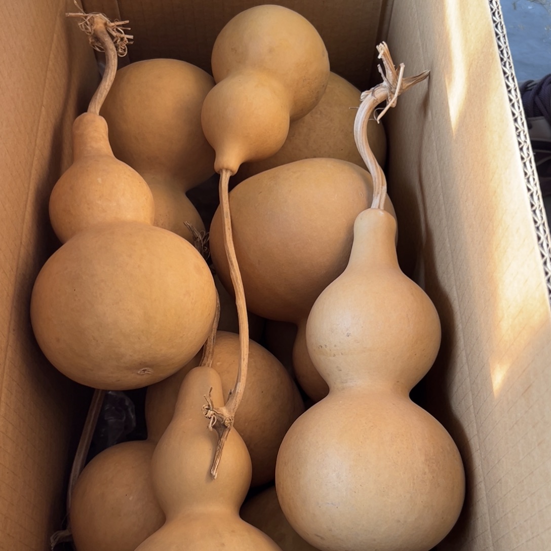 ****杨有机玻璃葫芦葫芦