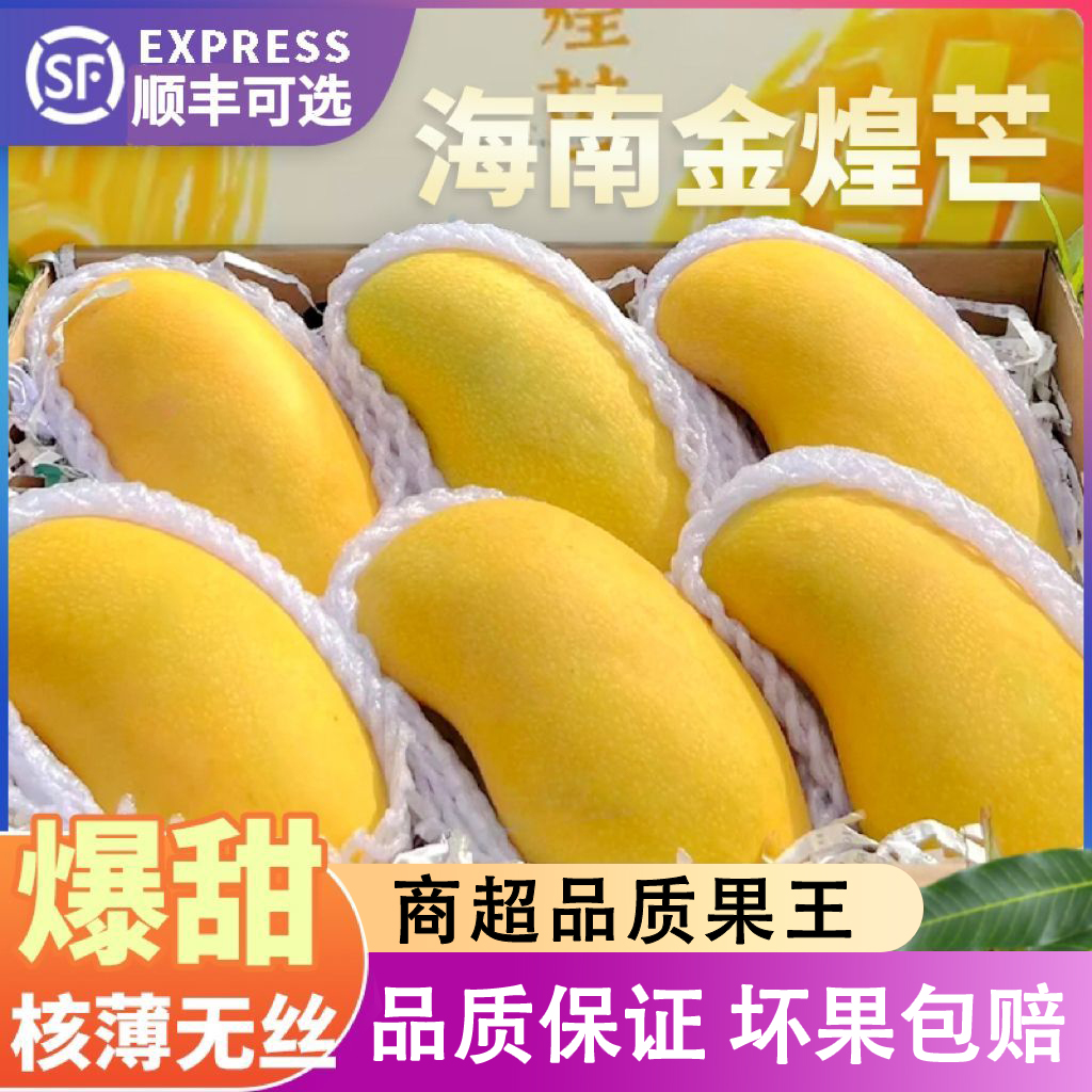 顺丰包邮海南金煌芒新鲜水果特产三亚水仙芒果现摘青大果小花专属
