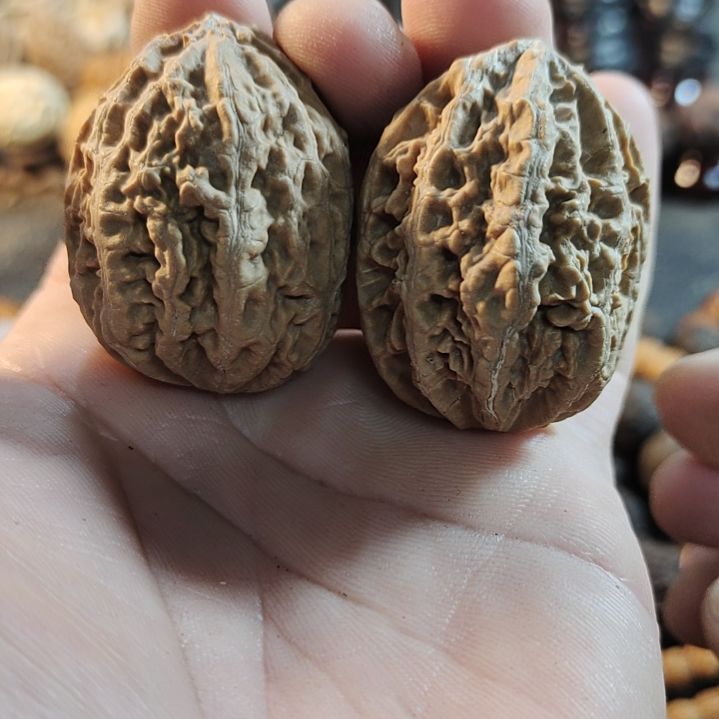 文玩核桃吊坠蚂蚁蛋秋子核桃