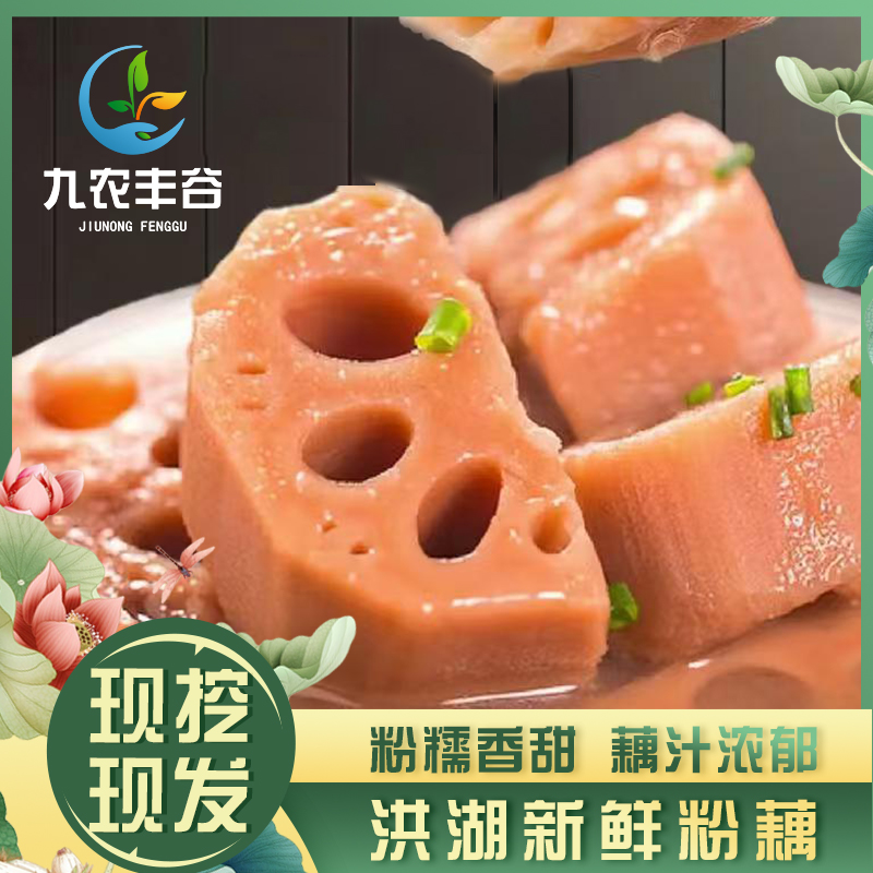 【洪湖粉藕】洪湖新鲜粉藕湖北粉藕新鲜现挖真空裹泥九孔煲汤粉藕