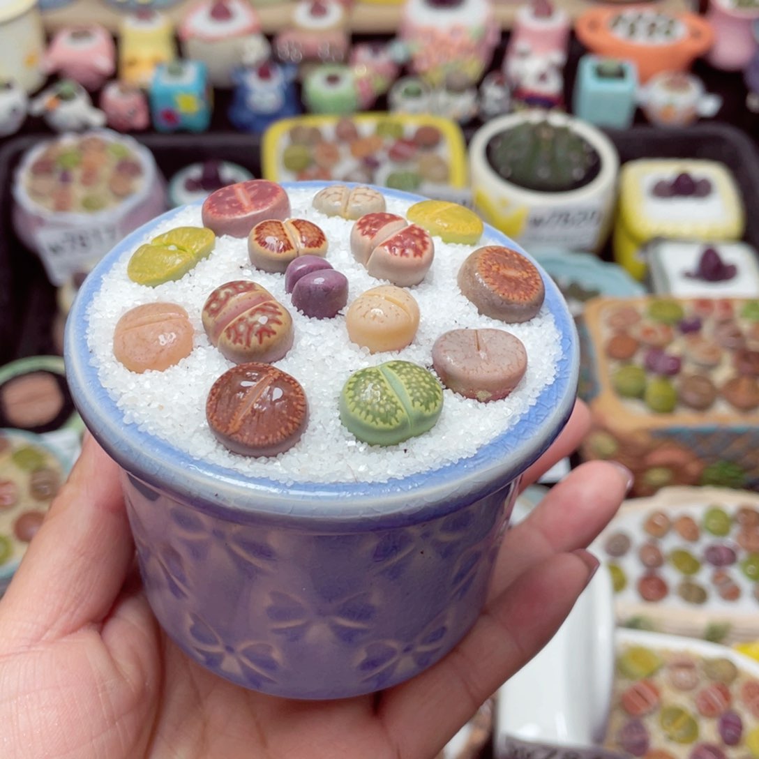 w7841 -零下地区拍保温箱-15支持寄养