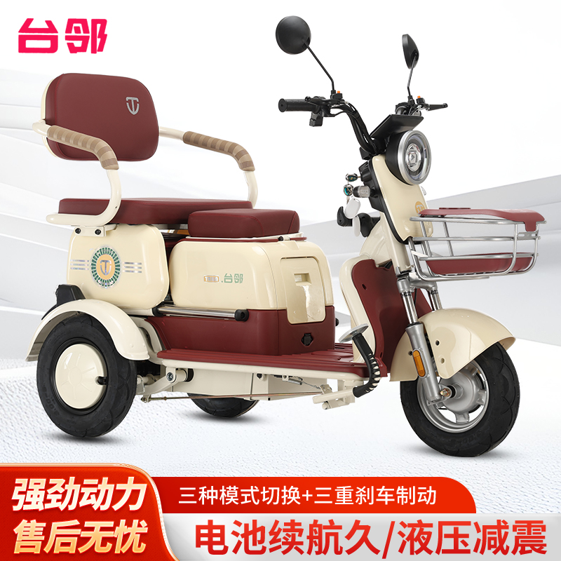新款电动三轮车成人日常通勤接送孩子休闲代步车1